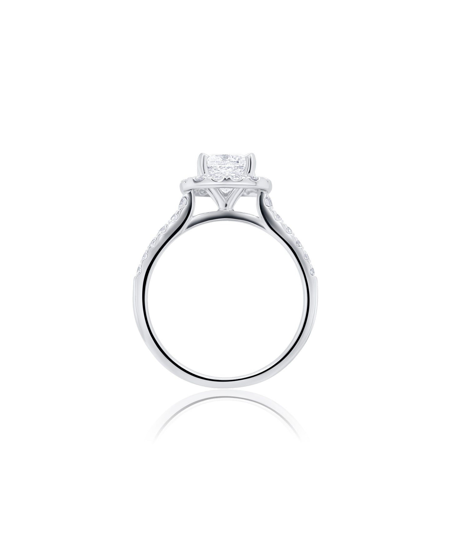 Classic Cathedral with Cushion Cut and Diamond Halo