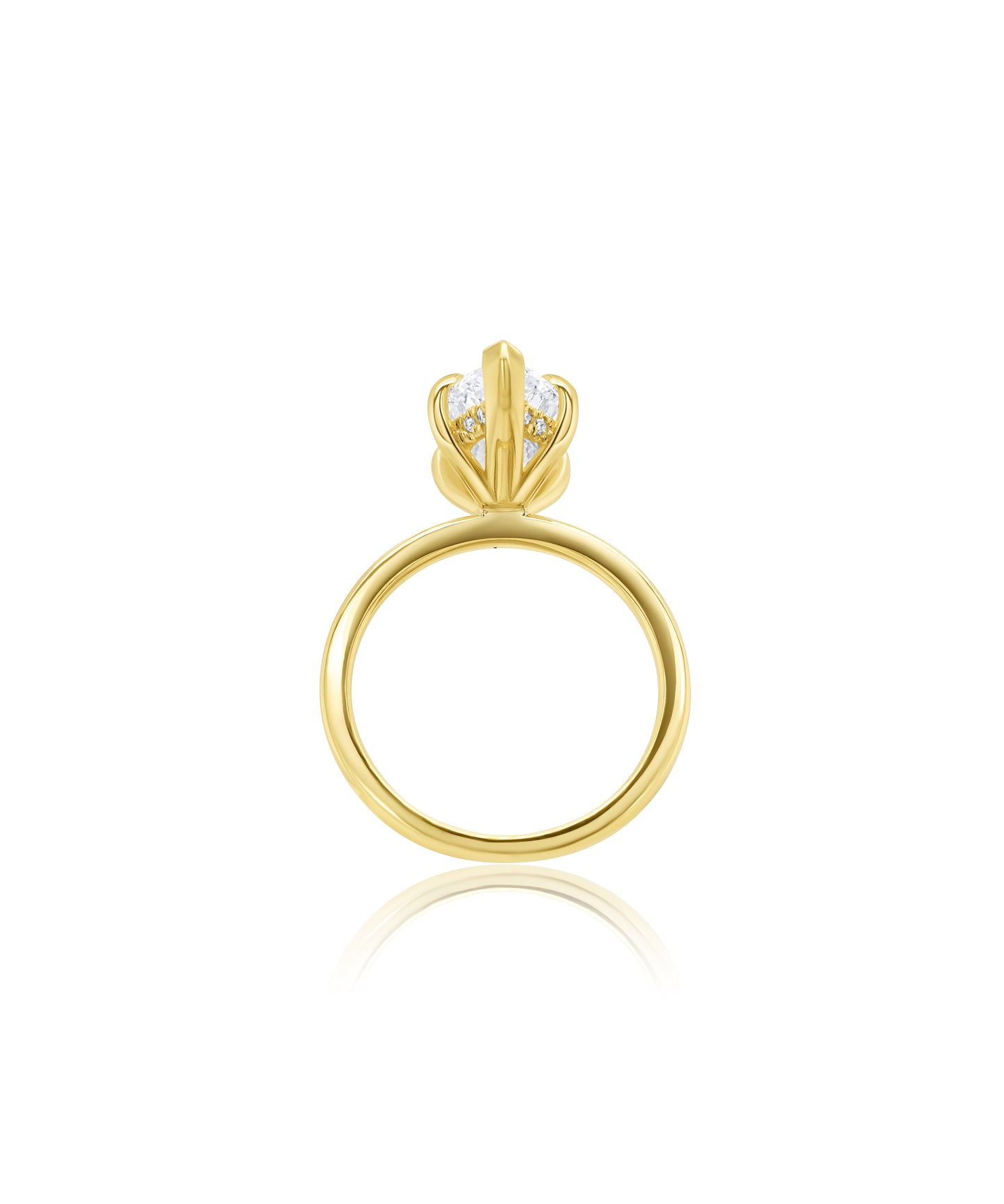 Hidden Halo Marquise with Classic Band