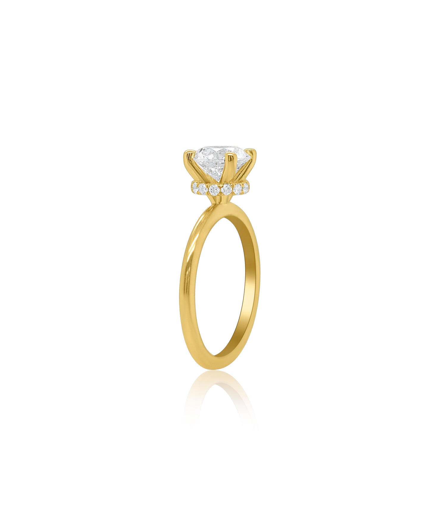 Hidden Halo Round Cut with Feather Band
