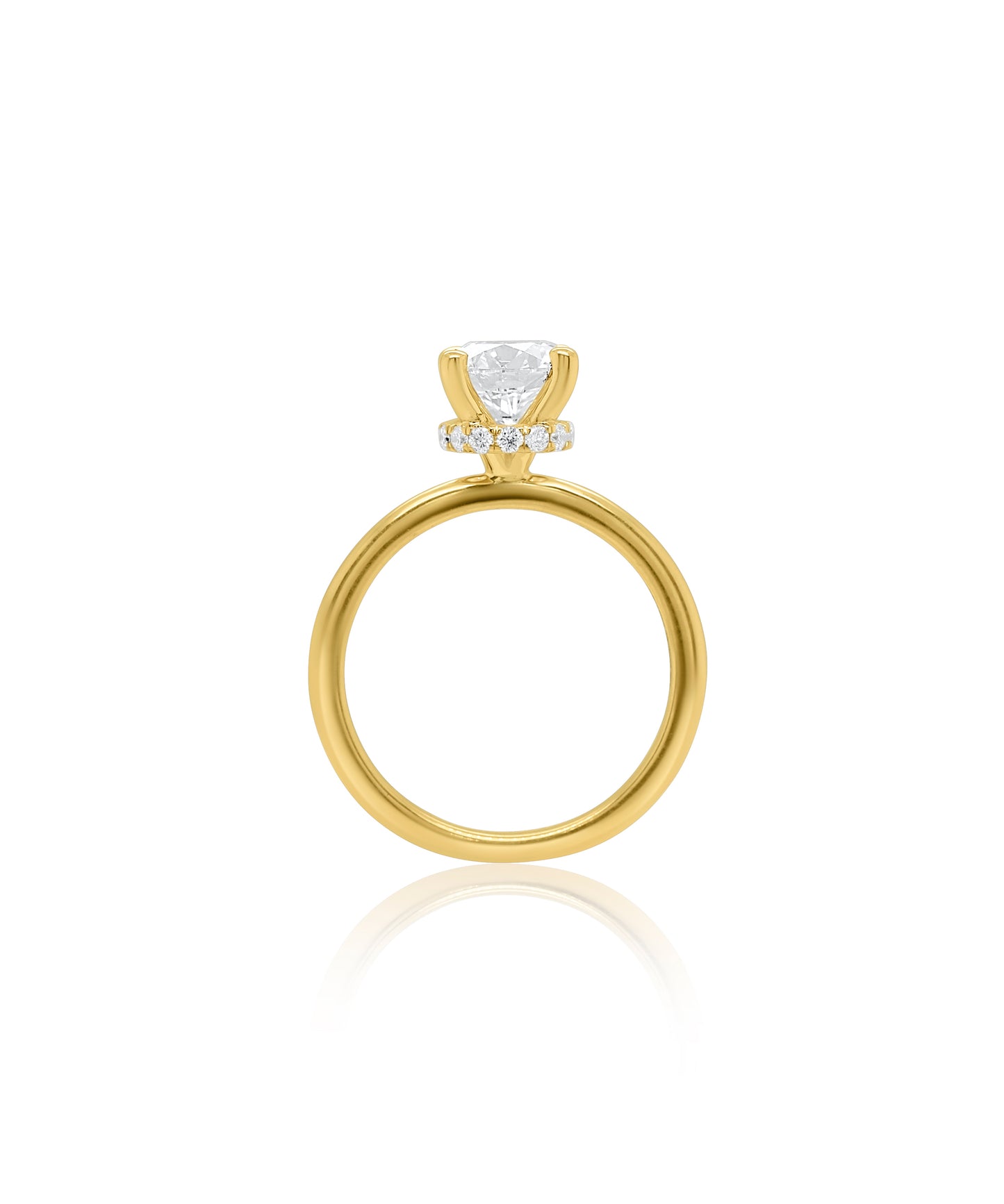 Hidden Halo Round Cut with Feather Band